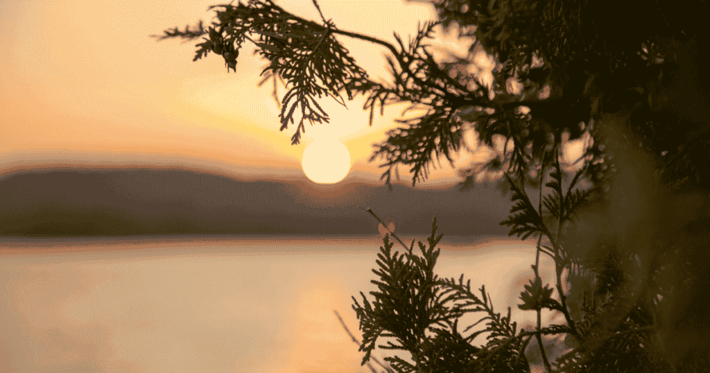 sunset-in-les-Laurentides-Québec-between-the-trees paddle tales paddletv facing waves