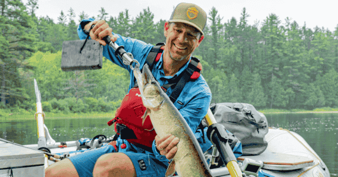 ken whiting with a musky on the water in algonquin park summertime fishing trip