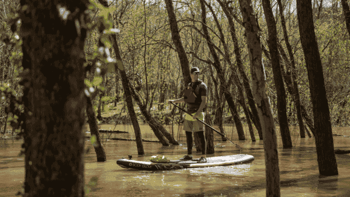 How to SUP - The Beginner's Quick Start Guide to Paddle Boarding featured image