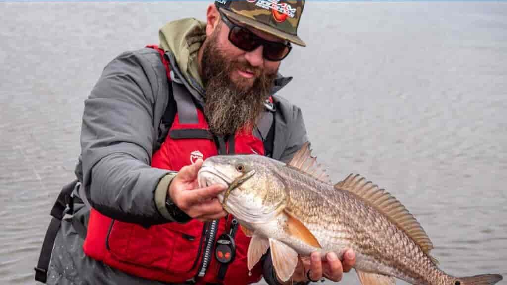 Sight Fishing success!  Today they were biting small swim baits.