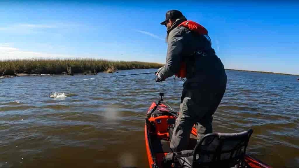 Sight Fishing can allow you to quite literally see what baits the fish are interested in.