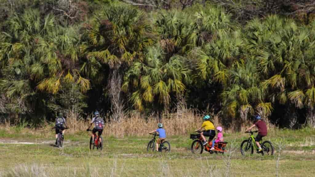 Travelling in a group is always good for safety and company in the woods.
