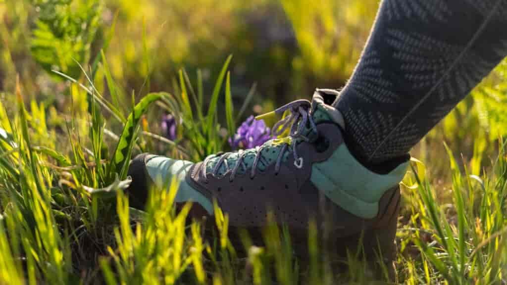 This hike was made special by an awesome wildflower display