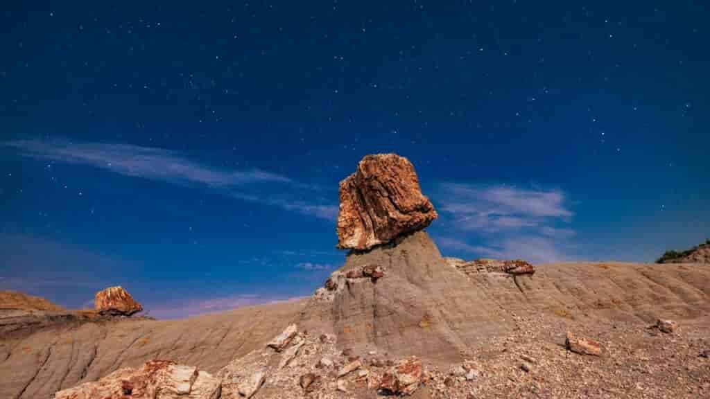 Some incredible sights to be had in this wilderness.