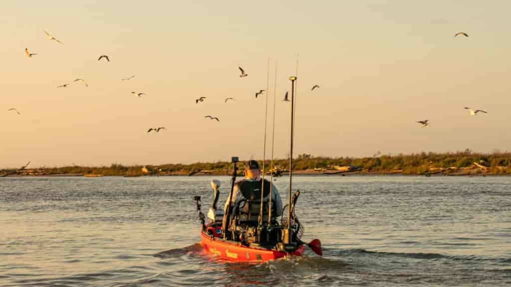 Freeport redfish fishing is made easy by chasing birds.
