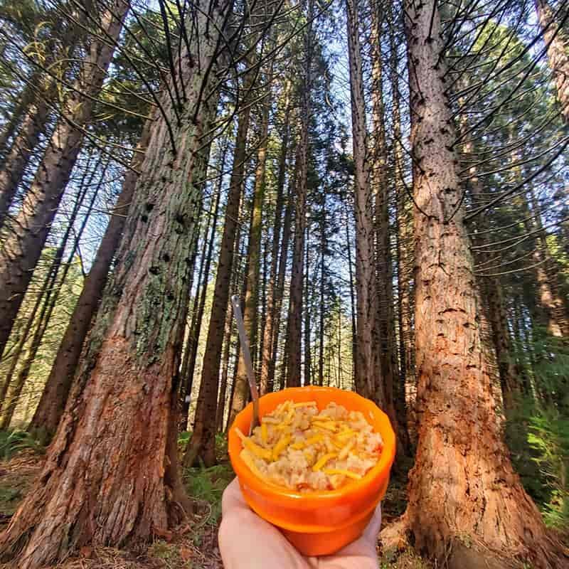 Keto recipes for camping: Bacon chicken bowl
