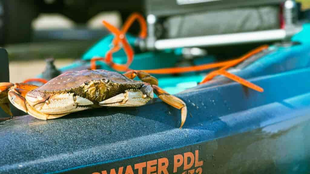 I used the OldTown Bigwater PDL for this adventure