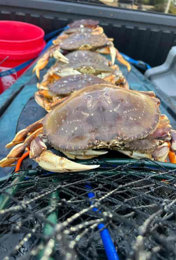 Equipment + Crabs = need for organization