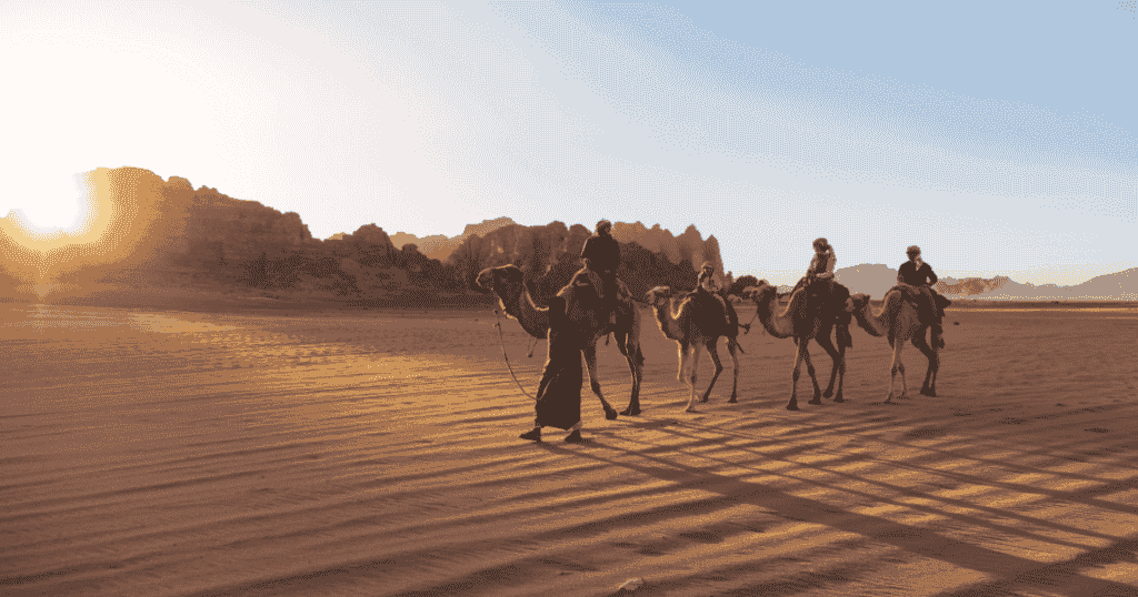 camel trip in wadi rum jordan adventure