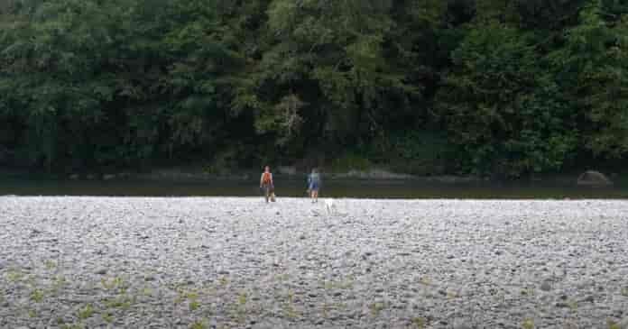 catch and cook recipe for trout or salmon