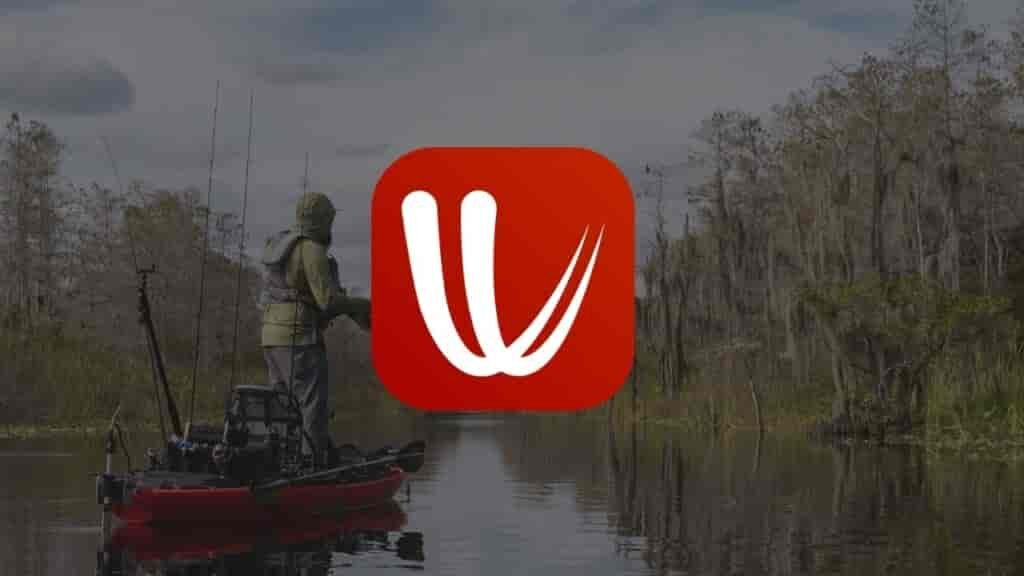 Windy app for angling 