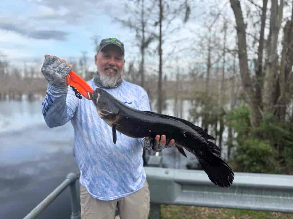 kayak fishing Okefenokee swamp, 
Chris Funk holding bowfin fish