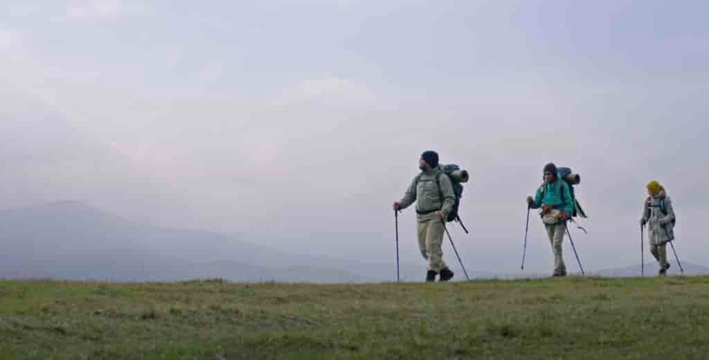 trekking poles