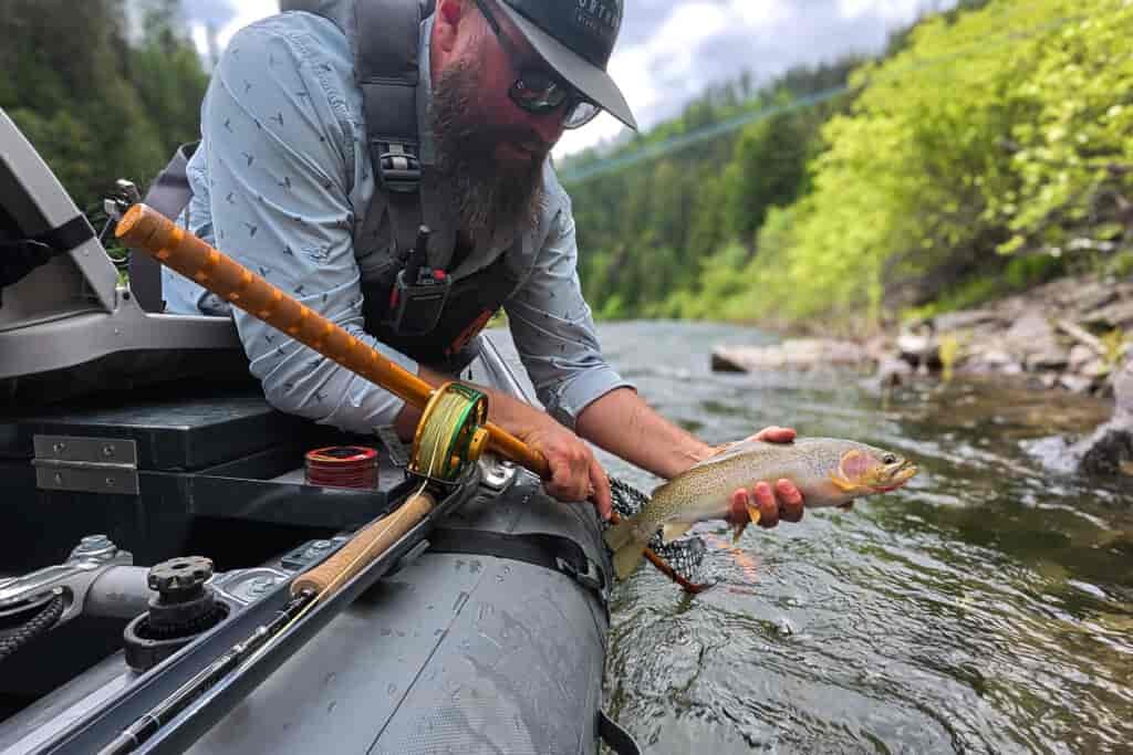 st joe westslope cutthroat trout